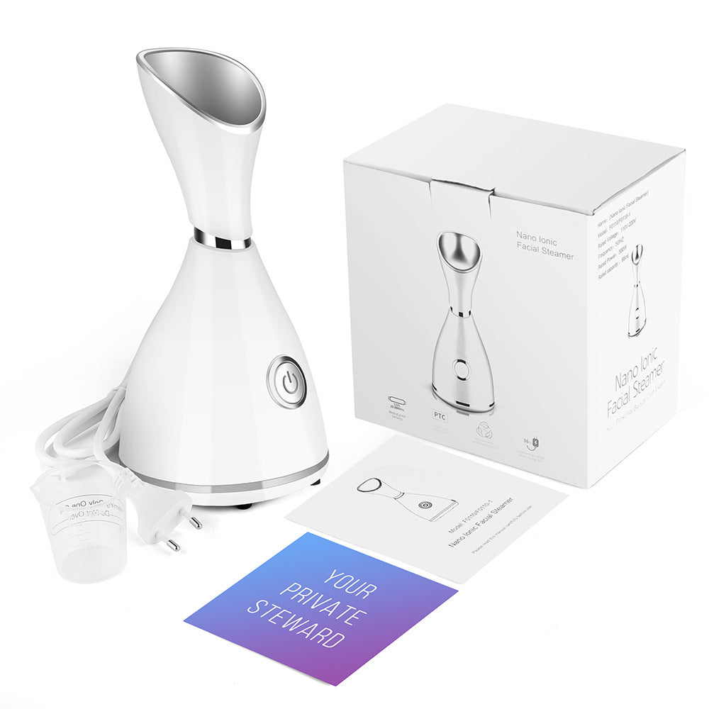 Vaporisateur facial portatif rechargeable USB